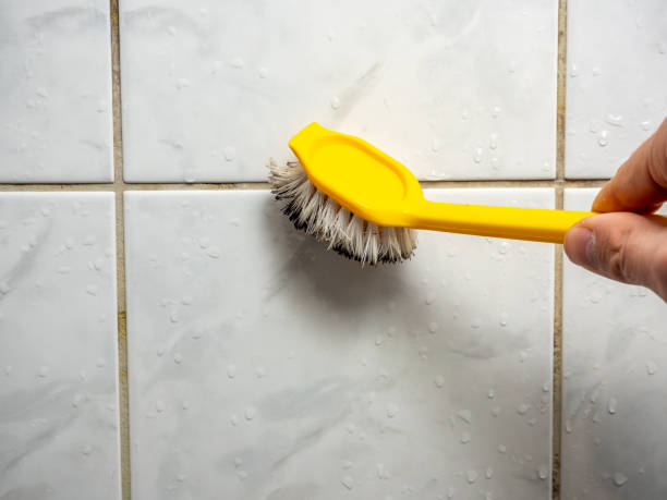 Best Emergency Mold Removal  in Olyphant, PA